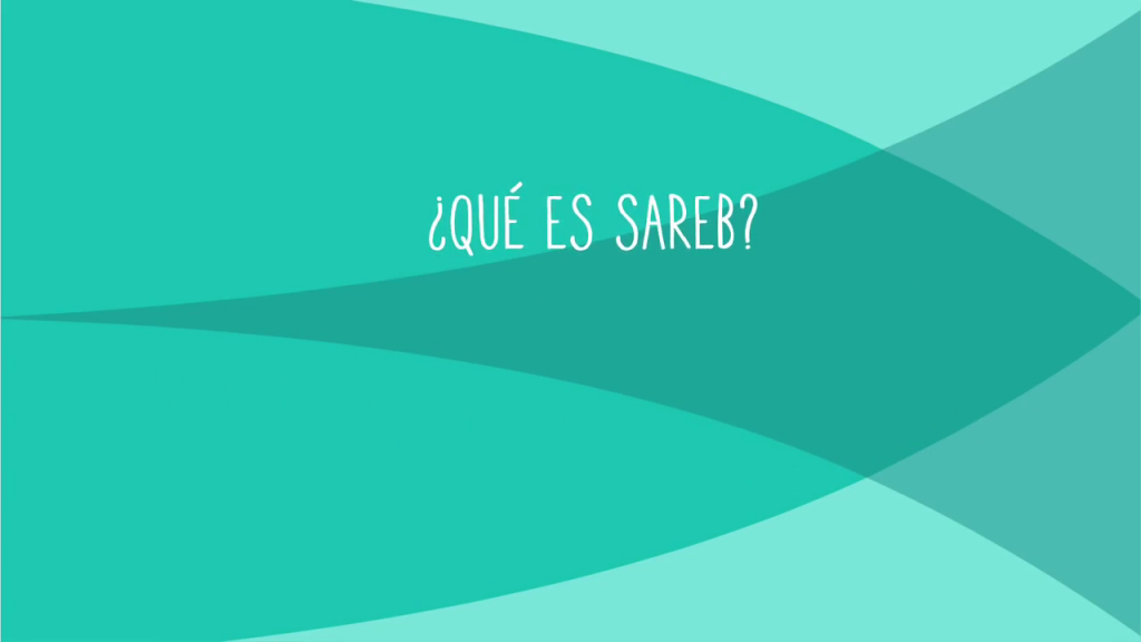 Sareb